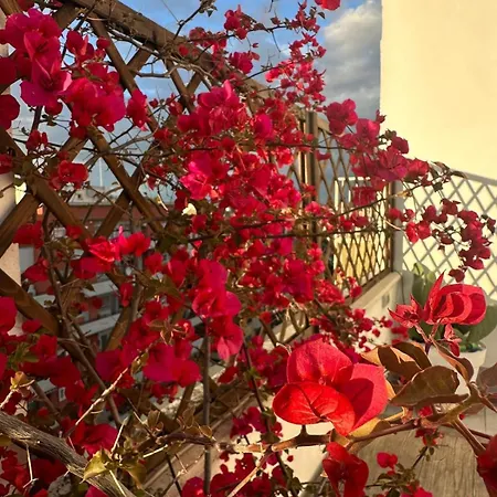 Appartement Cardinalbaldo Rome