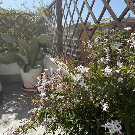 Appartement Cardinalbaldo *