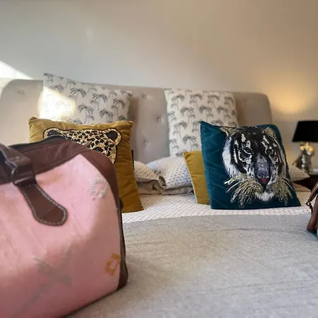 Cardinalbaldo Appartamento Roma